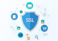 便宜SSL证书