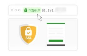 公网IP地址申请SSL证书的方法