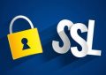 SSL证书如何做DNS域名验证