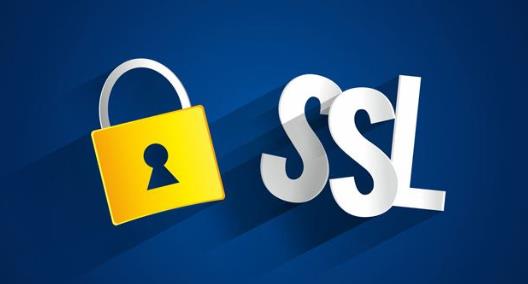 SSL证书如何做DNS域名验证