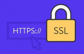 SSL证书的收费标准