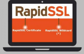 RapidSSL证书