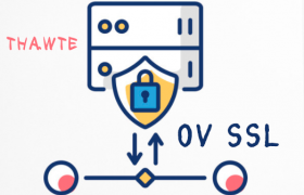 Thawte的企业级OV证书支持的加密算法
