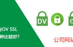 公司网站购买DV和OV SSL证书哪个好