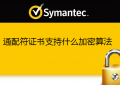 Symantec通配符证书支持的加密算法