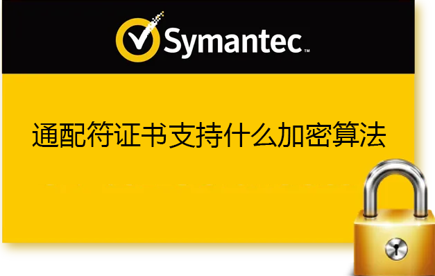 Symantec通配符证书支持的加密算法