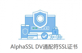 AlphaSSL旗下的DV通配符SSL证书