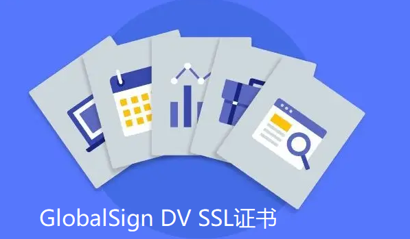 GlobalSign DV SSL证书可选的类型