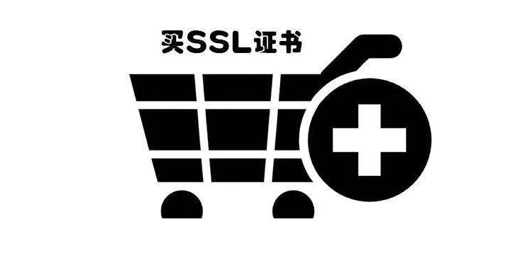 RapidSSL旗下提供的DV SSL证书