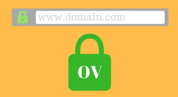 OV SSL证书介绍