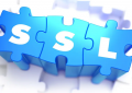 AlphaSSL证书可供选择的类型