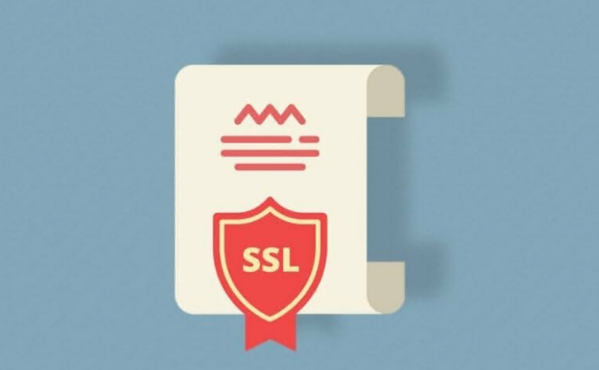 内网IP申请SSL证书