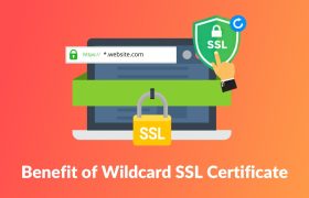 通配符SSL证书申请需要多少钱
