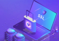 怎样查看SSL证书的有效期