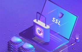 怎样查看SSL证书的有效期