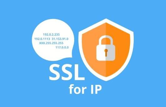 只有IP地址怎么申请SSL证书