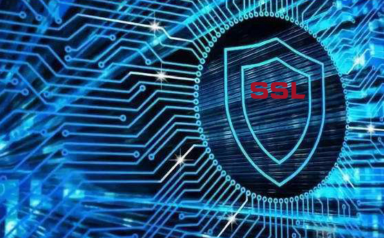SSL证书过期怎么更换新证书