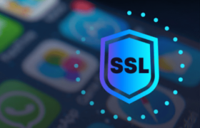 企业型通配符SSL证书