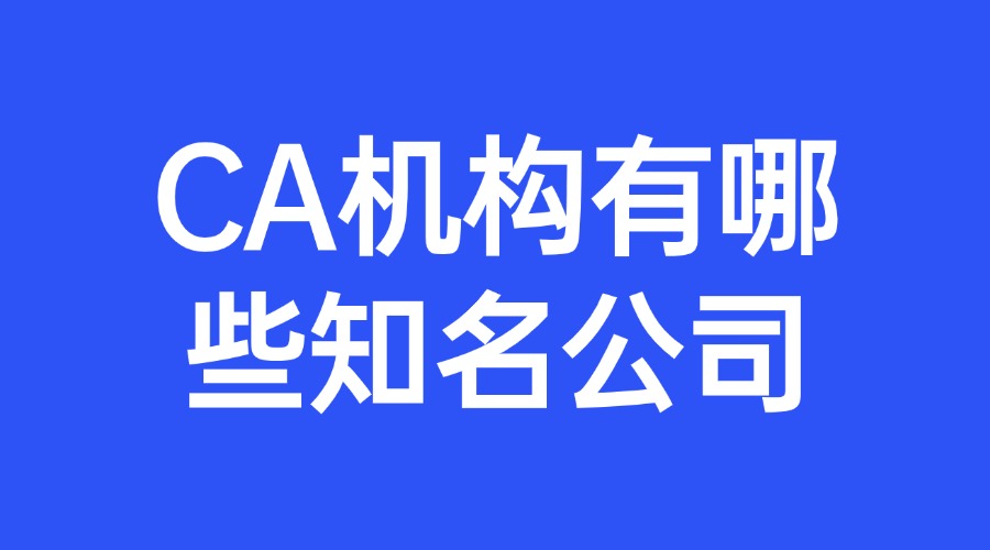 CA机构有哪些公司