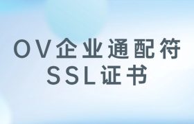 企业通配符SSL证书