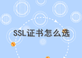 个人站长选择什么SSL证书