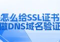 SSL证书做DNS域名验证