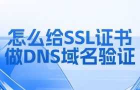 SSL证书做DNS域名验证
