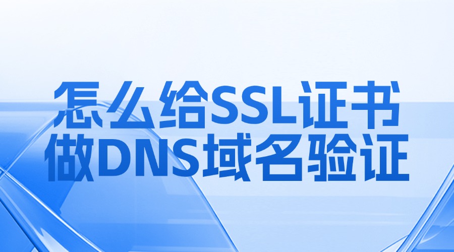SSL证书做DNS域名验证