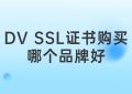 DV SSL证书购买