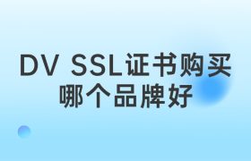 DV SSL证书购买
