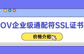 OV企业级通配符SSL证书