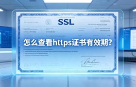 查看https证书
