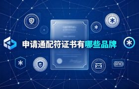 申请通配符证书