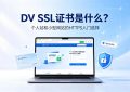 DV SSL证书