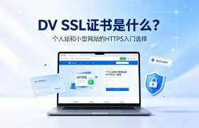 DV SSL证书