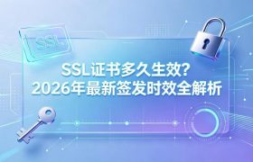 SSL证书多久生效