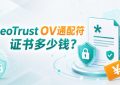 GeoTrust OV通配符证书
