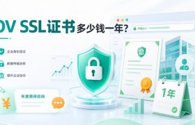 OV SSL证书