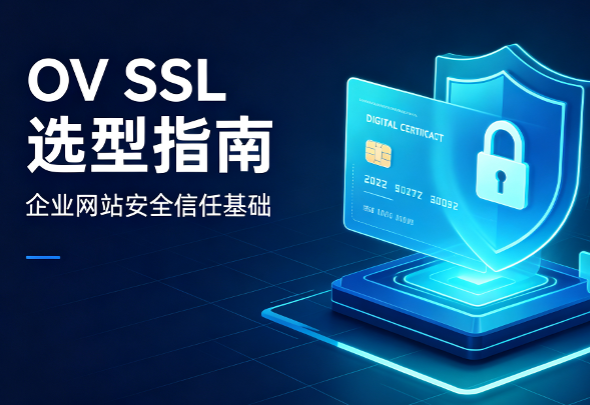 企业怎么选SSL证书?OV证书选型与三类产品推荐