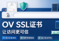 企业官网OVSSL证书