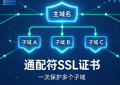 通配符SSL证书可以多个网站共用吗