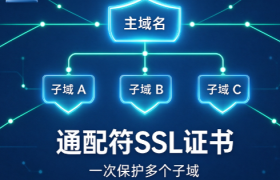 通配符SSL证书可以多个网站共用吗