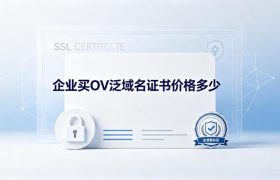 OV泛域名证书