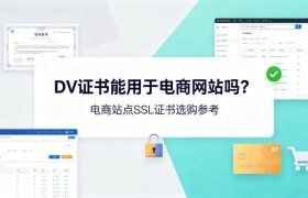 DV证书