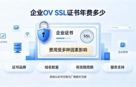 企业OV SSL证书