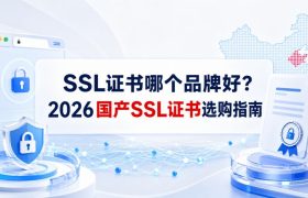 SSL证书哪个品牌好