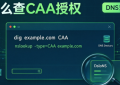 SSL证书换了品牌却签不下来？域名里的CAA授权该怎么查