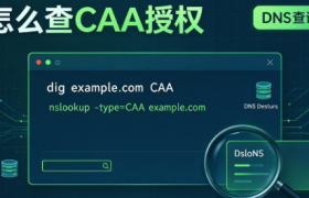 SSL证书换了品牌却签不下来?域名里的CAA授权该怎么查
