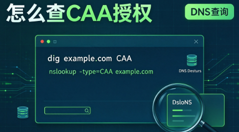 SSL证书换了品牌却签不下来?域名里的CAA授权该怎么查