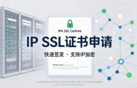 一文讲清楚只有IP地址的网站怎么申请开通HTTPS
